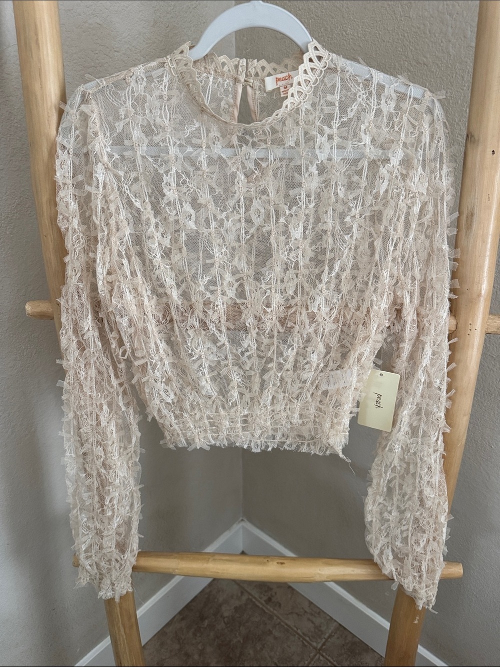 Peach Sheer Lace Cropped Blouse - Cream
